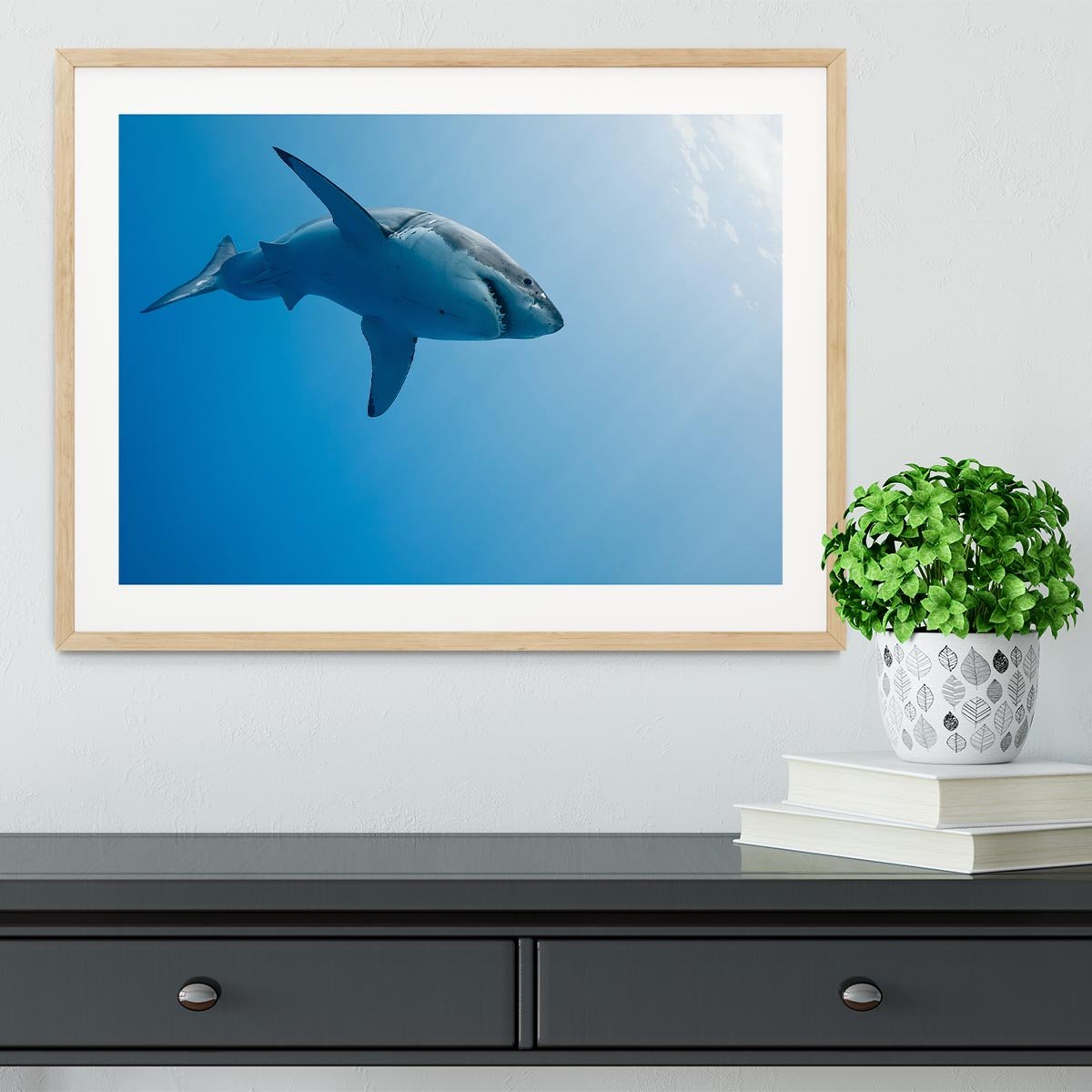 Great white shark Guadalupe Island Framed Print - Canvas Art Rocks - 3