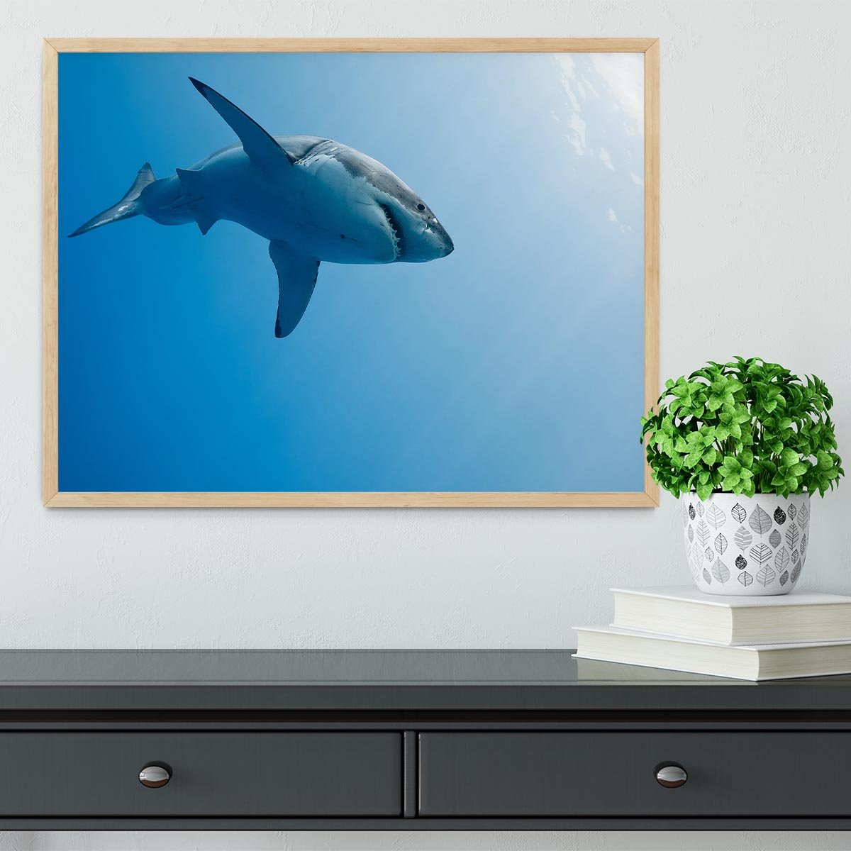 Great white shark Guadalupe Island Framed Print - Canvas Art Rocks - 4