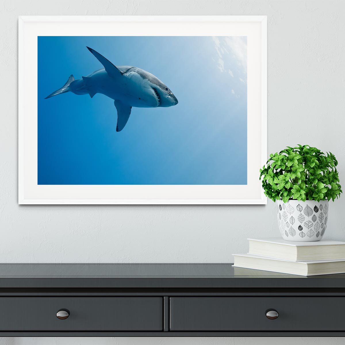 Great white shark Guadalupe Island Framed Print - Canvas Art Rocks - 5