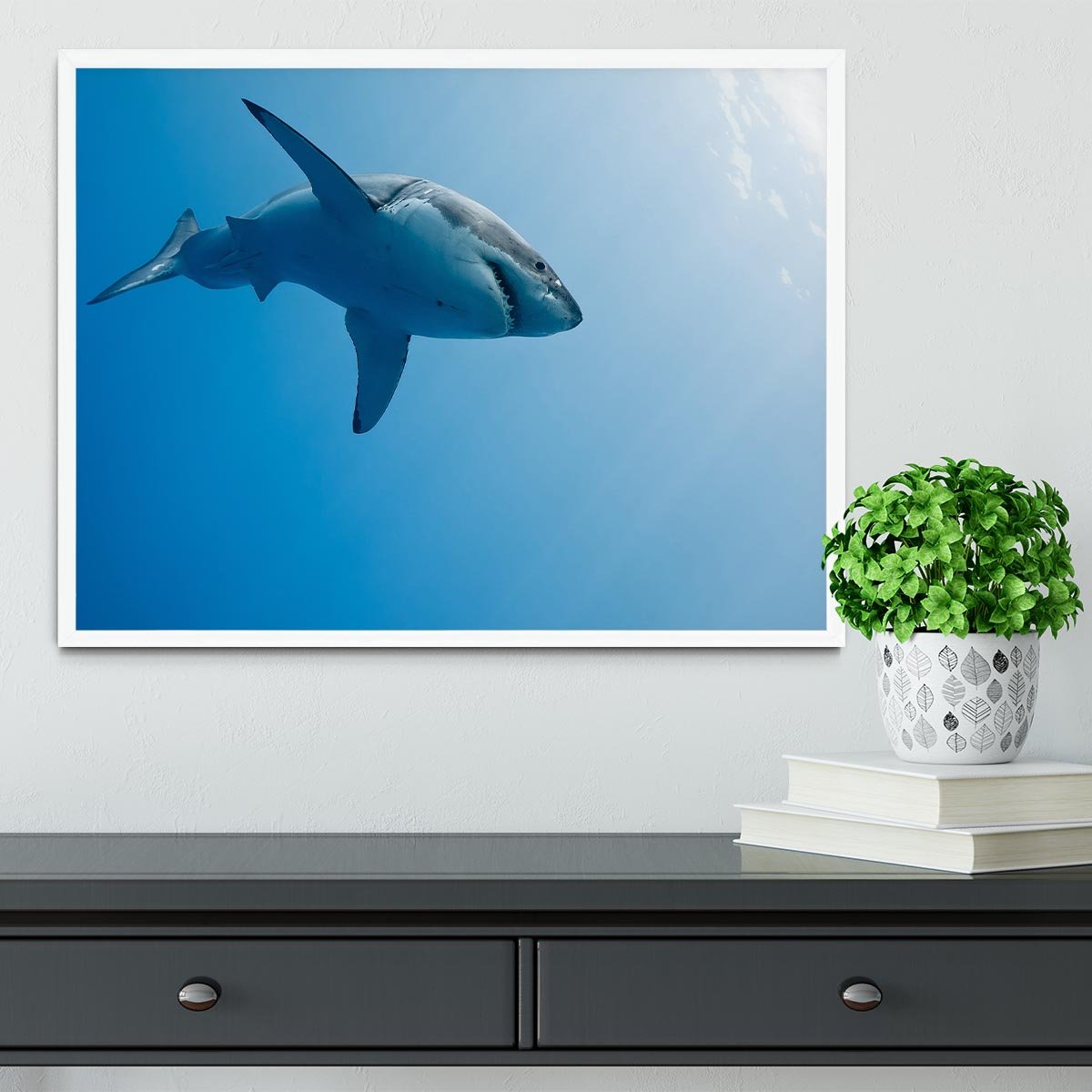 Great white shark Guadalupe Island Framed Print - Canvas Art Rocks -6