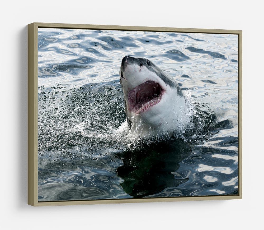 Great white shark HD Metal Print