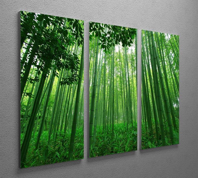 Green bamboo forest 3 Split Panel Canvas Print - Canvas Art Rocks - 2