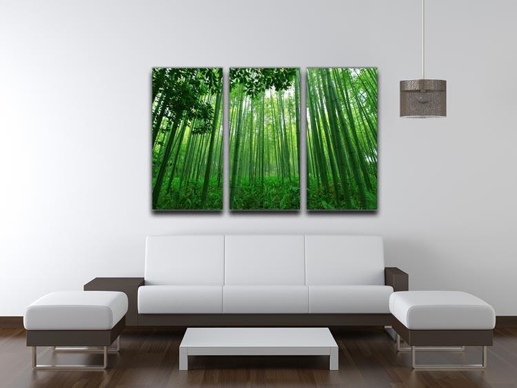 Green bamboo forest 3 Split Panel Canvas Print - Canvas Art Rocks - 3