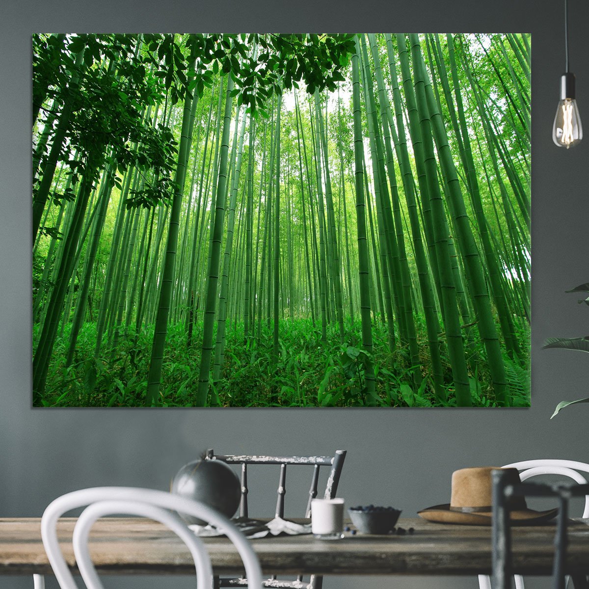 Green bamboo forest Canvas Print or Poster