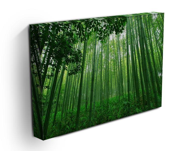 Green bamboo forest Canvas Print or Poster - Canvas Art Rocks - 3