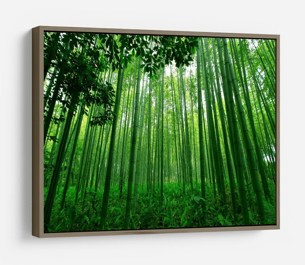 Green bamboo forest HD Metal Print