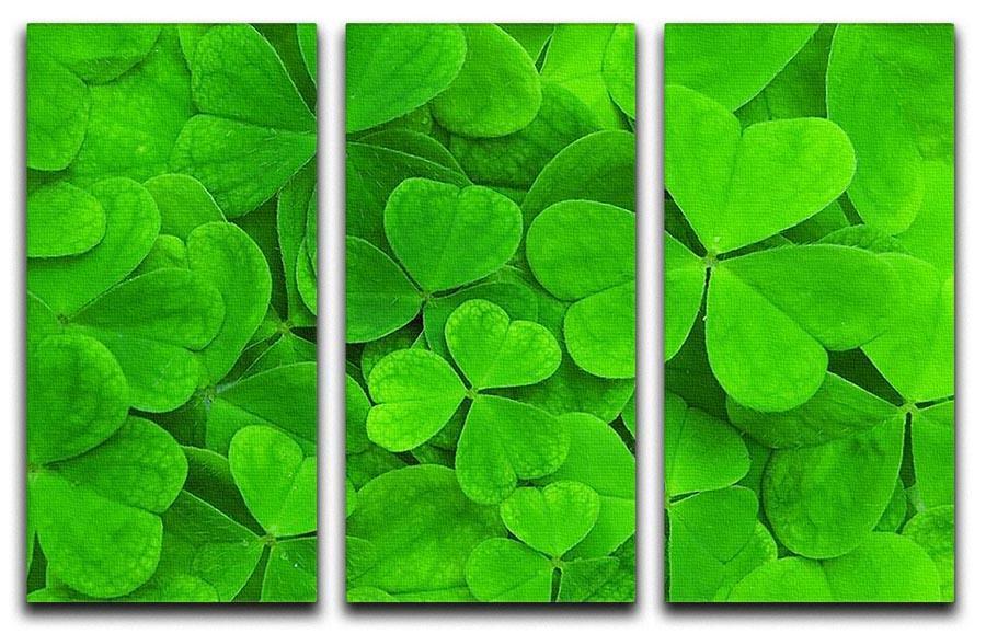 Green clover leaf 3 Split Panel Canvas Print - Canvas Art Rocks - 1