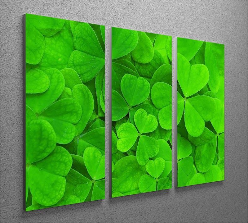 Green clover leaf 3 Split Panel Canvas Print - Canvas Art Rocks - 2
