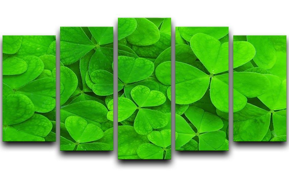 Green clover leaf 5 Split Panel Canvas  - Canvas Art Rocks - 1