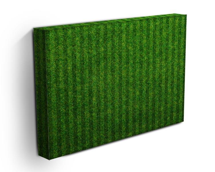 Green grass soccer field Canvas Print or Poster - Canvas Art Rocks - 3
