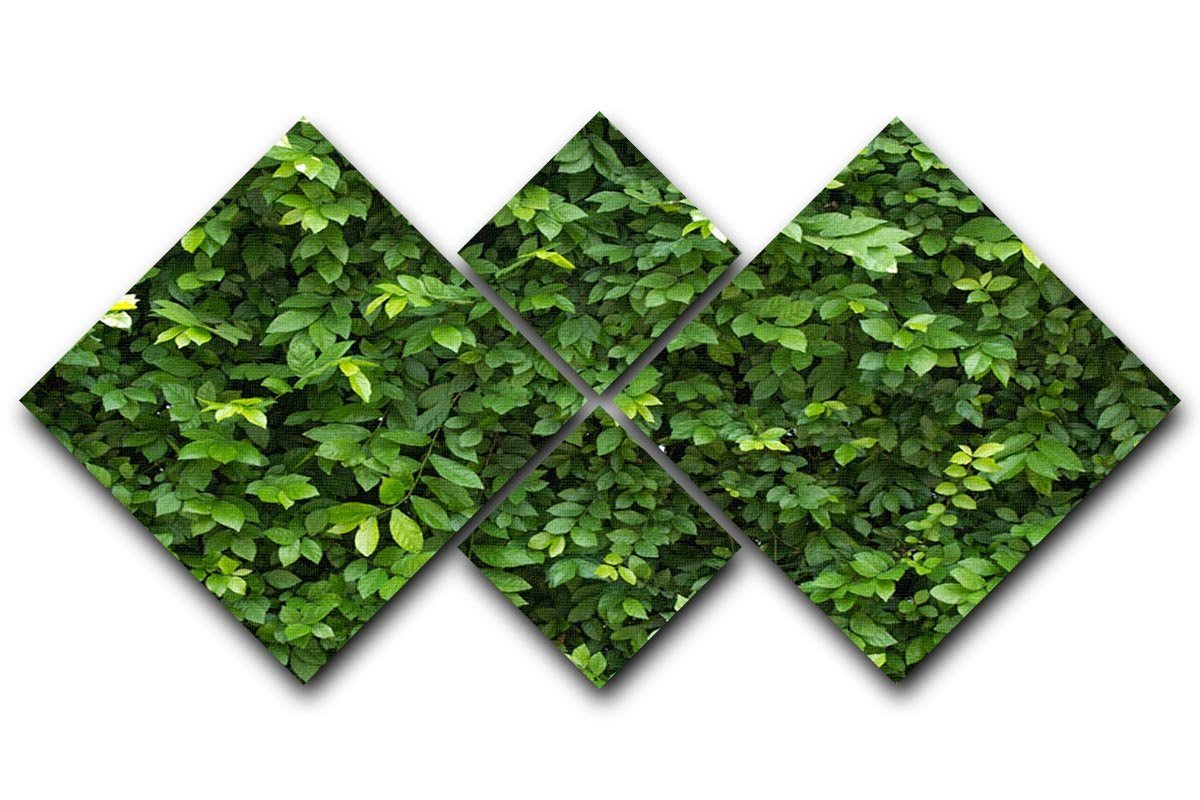 Green leaves for background 4 Square Multi Panel Canvas  - Canvas Art Rocks - 1