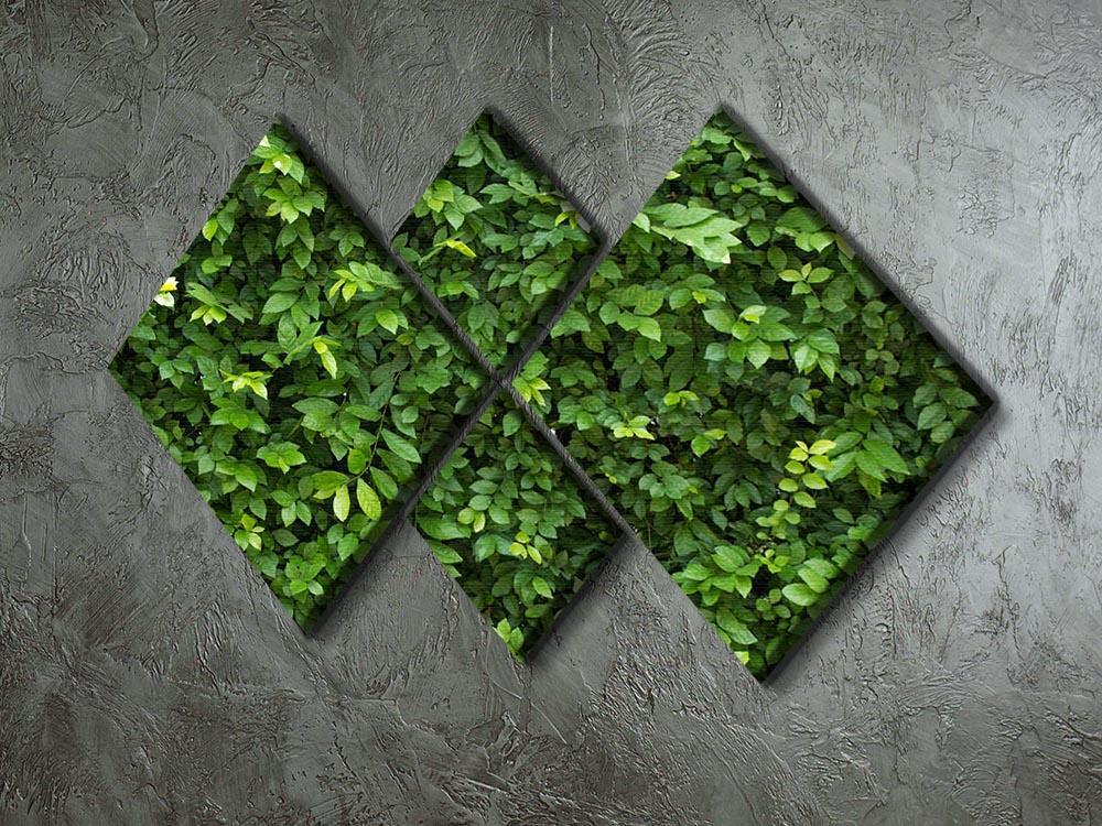 Green leaves for background 4 Square Multi Panel Canvas  - Canvas Art Rocks - 2