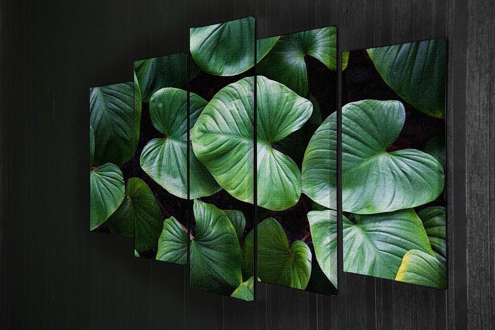 Green plant 5 Split Panel Canvas  - Canvas Art Rocks - 2
