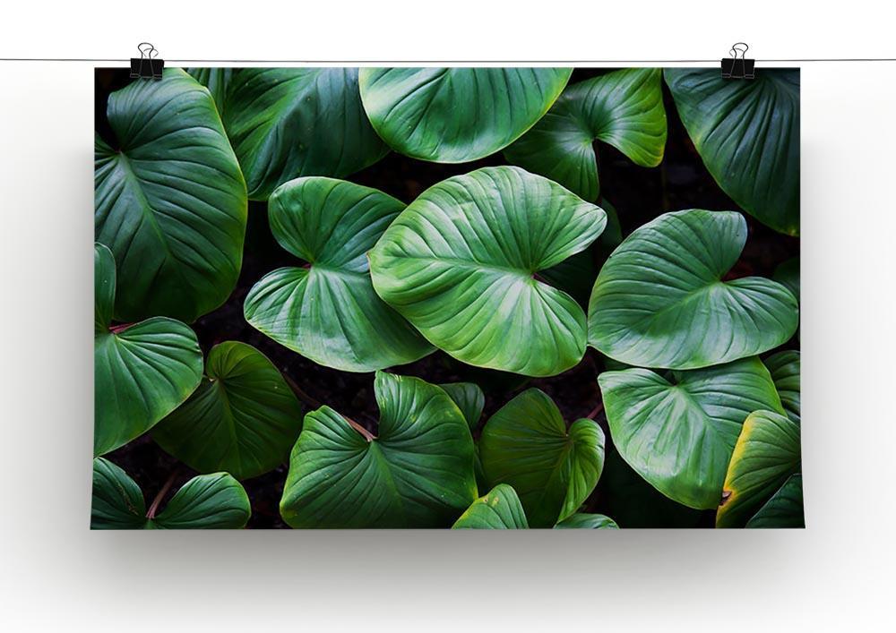 Green plant Canvas Print or Poster - Canvas Art Rocks - 2