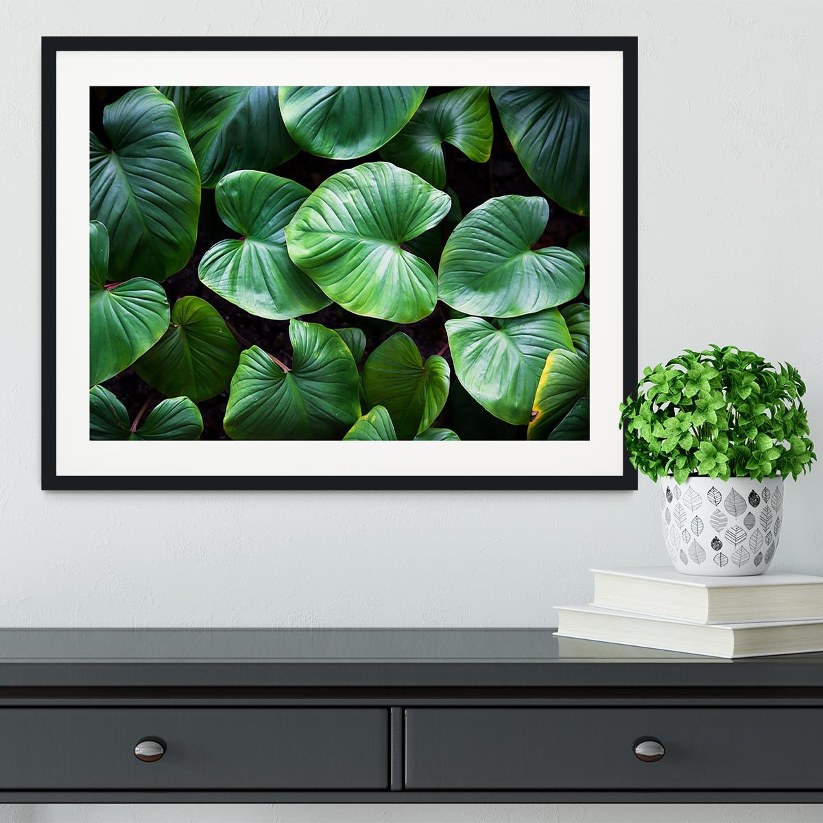Green plant Framed Print - Canvas Art Rocks - 1