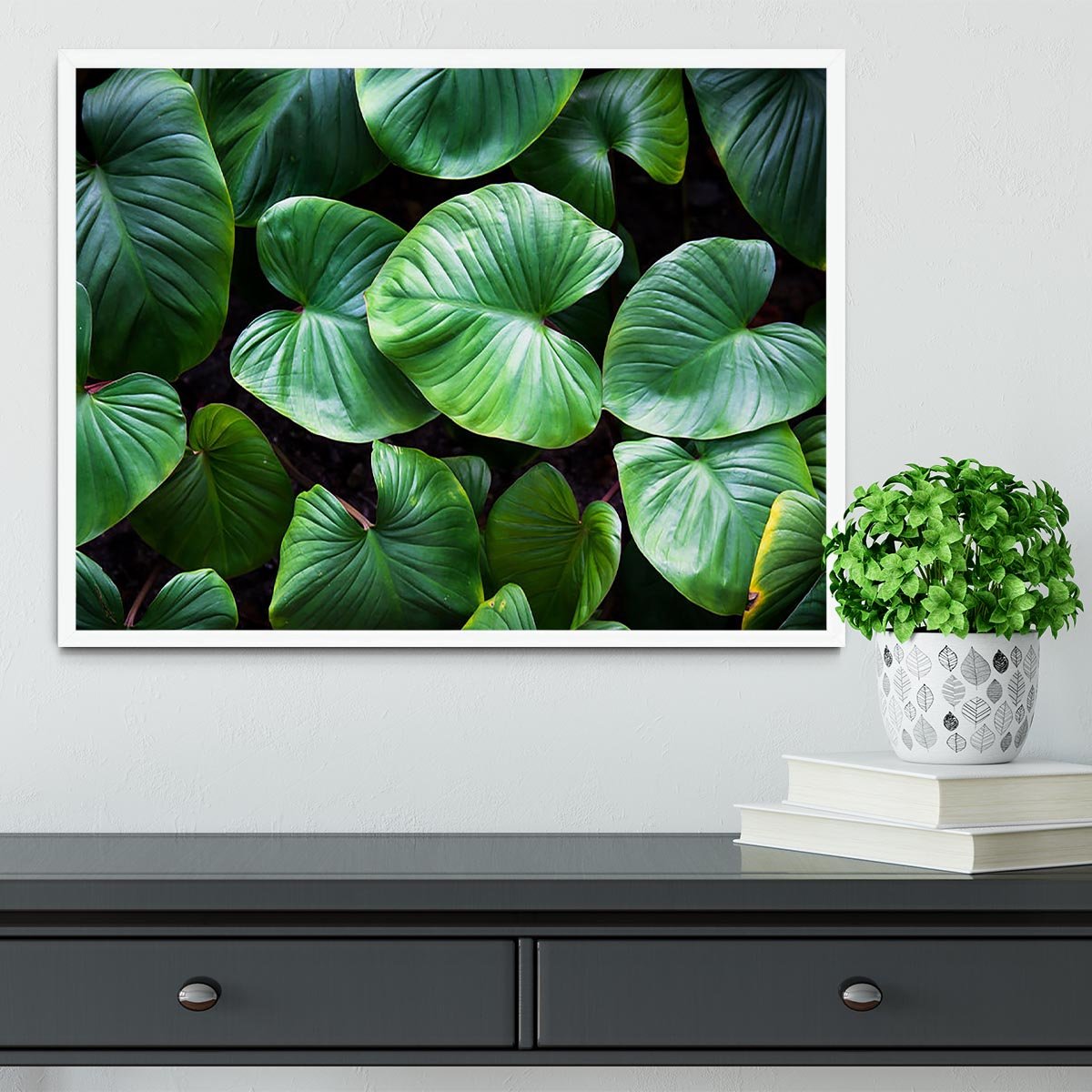 Green plant Framed Print - Canvas Art Rocks -6
