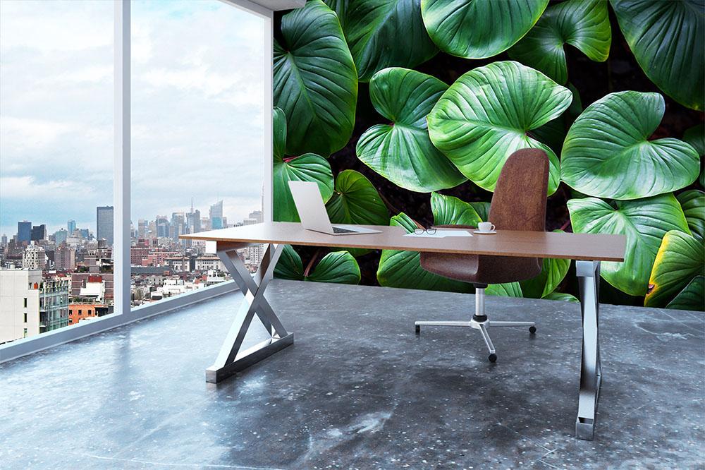 Green plant Wall Mural Wallpaper - Canvas Art Rocks - 3