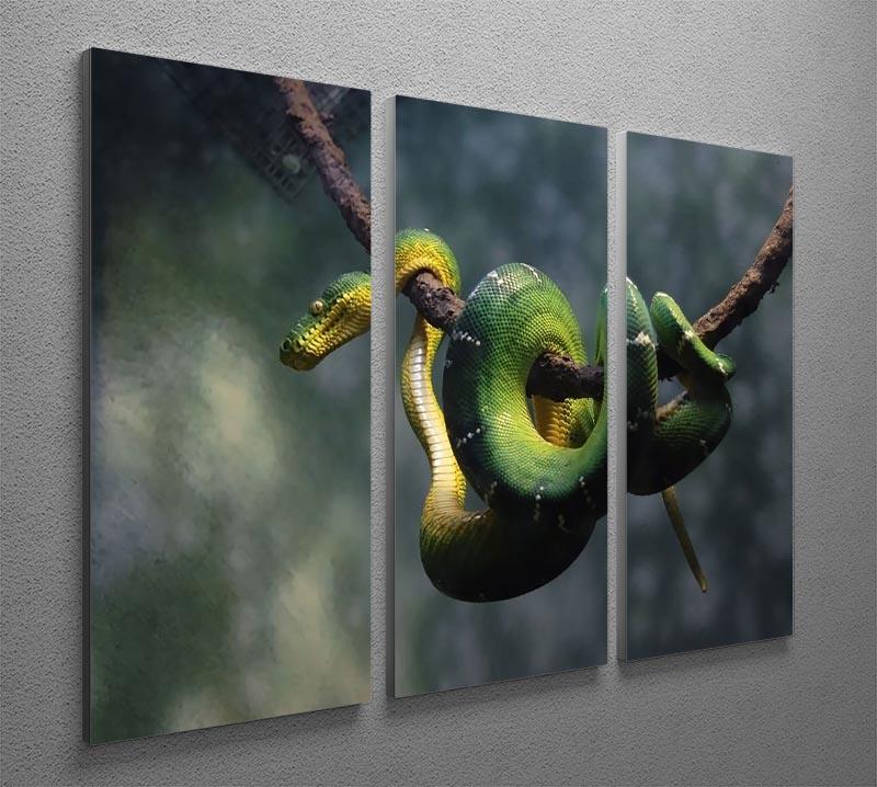 Green snake hangs on branch 3 Split Panel Canvas Print - Canvas Art Rocks - 2