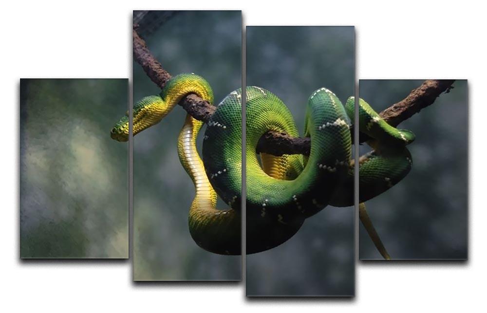 Green snake hangs on branch 4 Split Panel Canvas - Canvas Art Rocks - 1