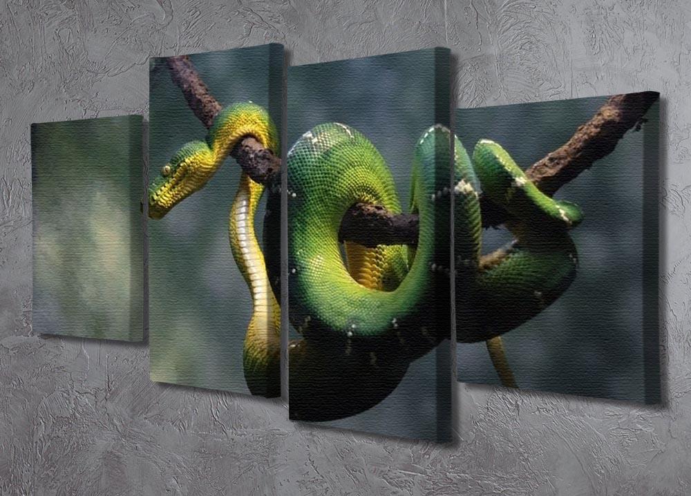 Green snake hangs on branch 4 Split Panel Canvas - Canvas Art Rocks - 2