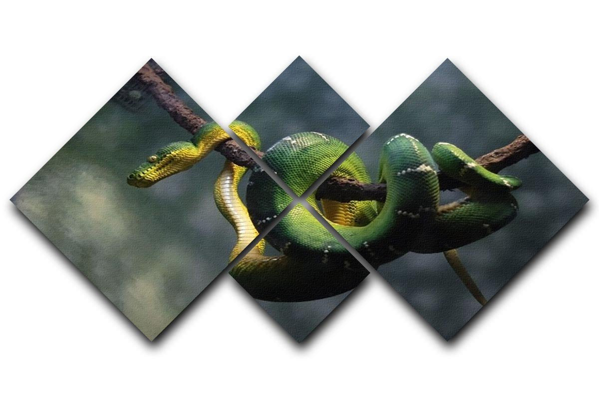 Green snake hangs on branch 4 Square Multi Panel Canvas - Canvas Art Rocks - 1