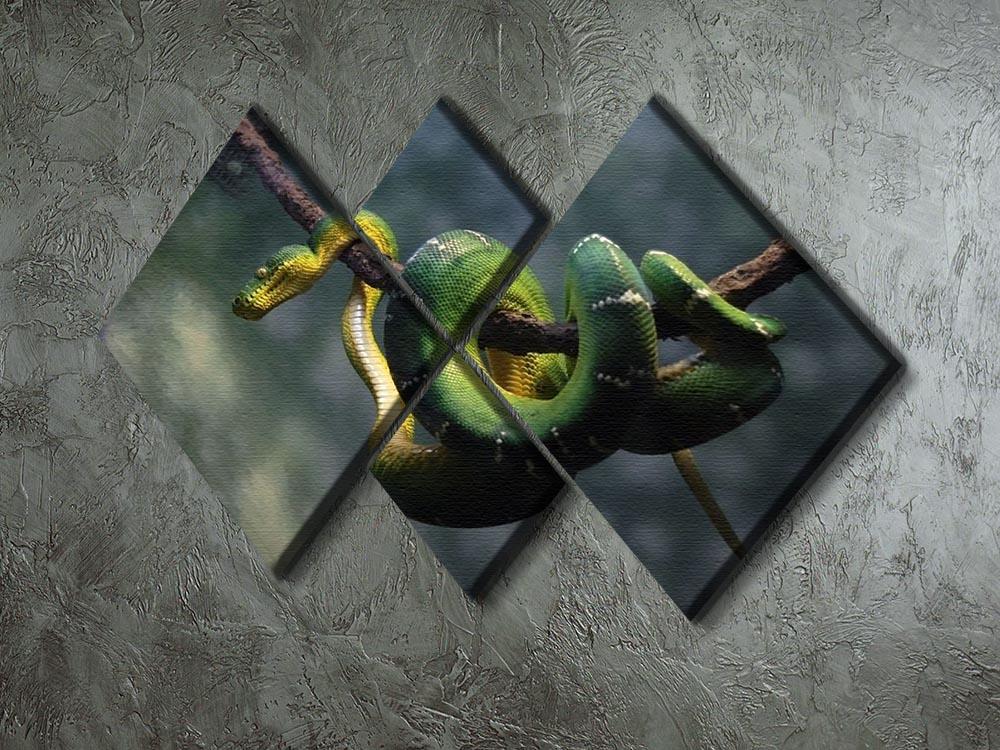 Green snake hangs on branch 4 Square Multi Panel Canvas - Canvas Art Rocks - 2
