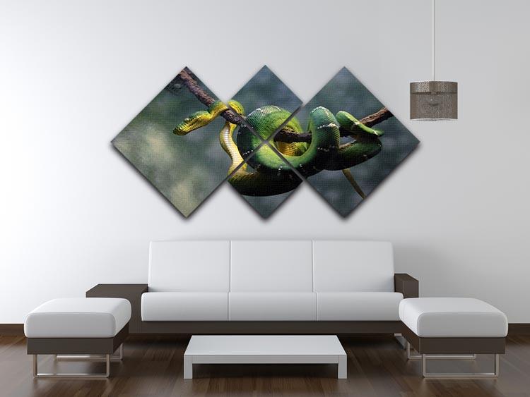 Green snake hangs on branch 4 Square Multi Panel Canvas - Canvas Art Rocks - 3