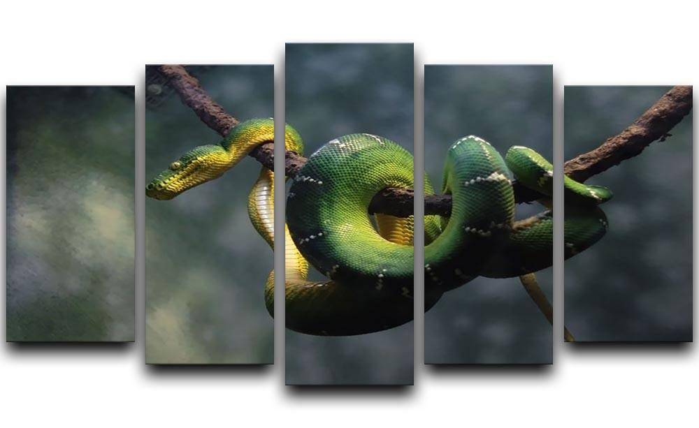 Green snake hangs on branch 5 Split Panel Canvas - Canvas Art Rocks - 1