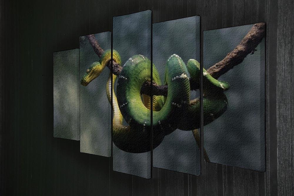 Green snake hangs on branch 5 Split Panel Canvas - Canvas Art Rocks - 2