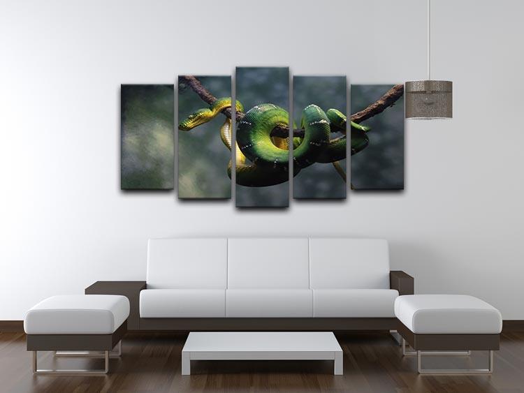 Green snake hangs on branch 5 Split Panel Canvas - Canvas Art Rocks - 3