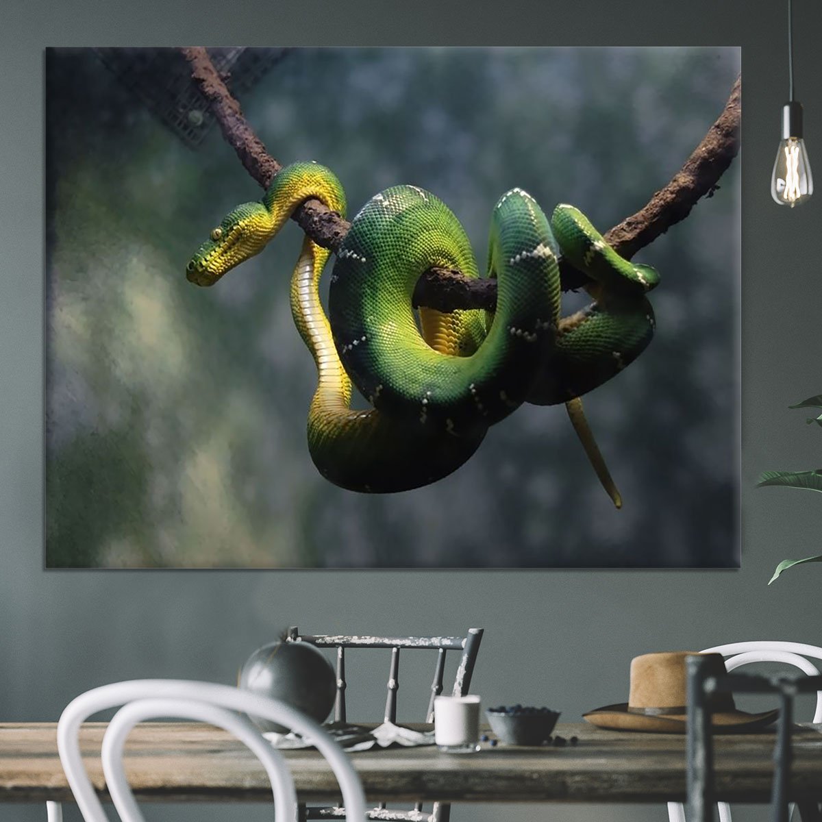 Green snake hangs on branch Canvas Print or Poster