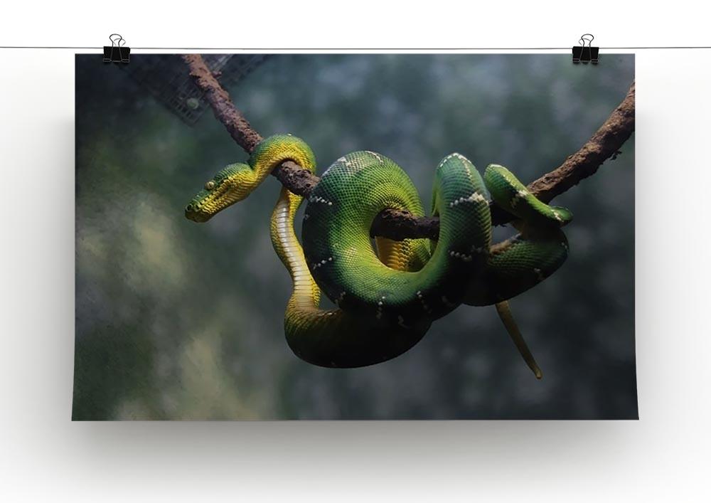 Green snake hangs on branch Canvas Print or Poster - Canvas Art Rocks - 2