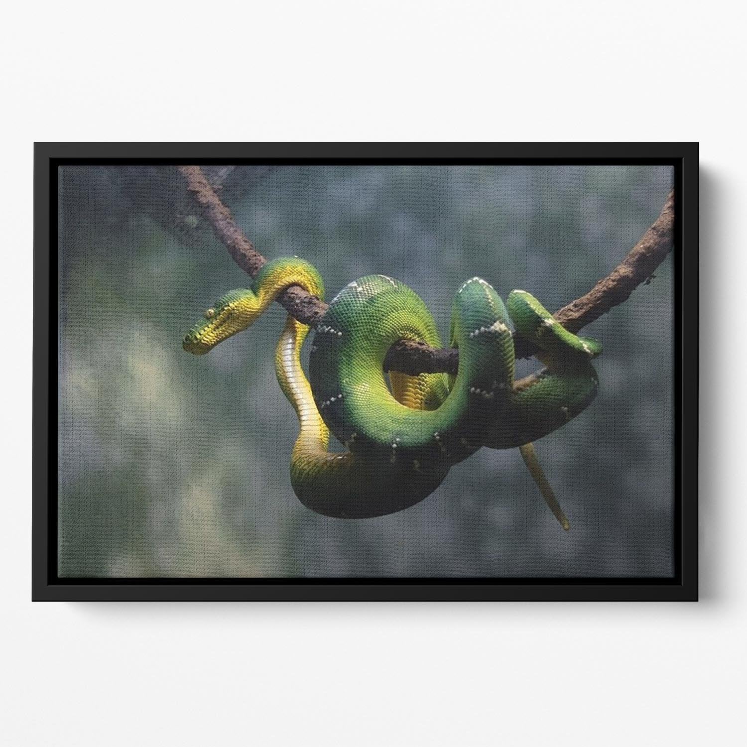 Green snake hangs on branch Floating Framed Canvas - Canvas Art Rocks - 2