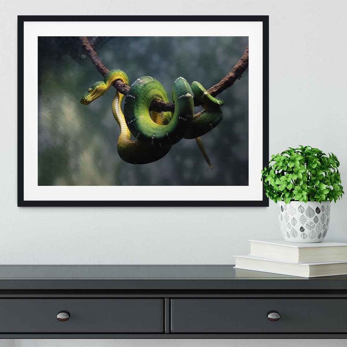 Green snake hangs on branch Framed Print - Canvas Art Rocks - 1