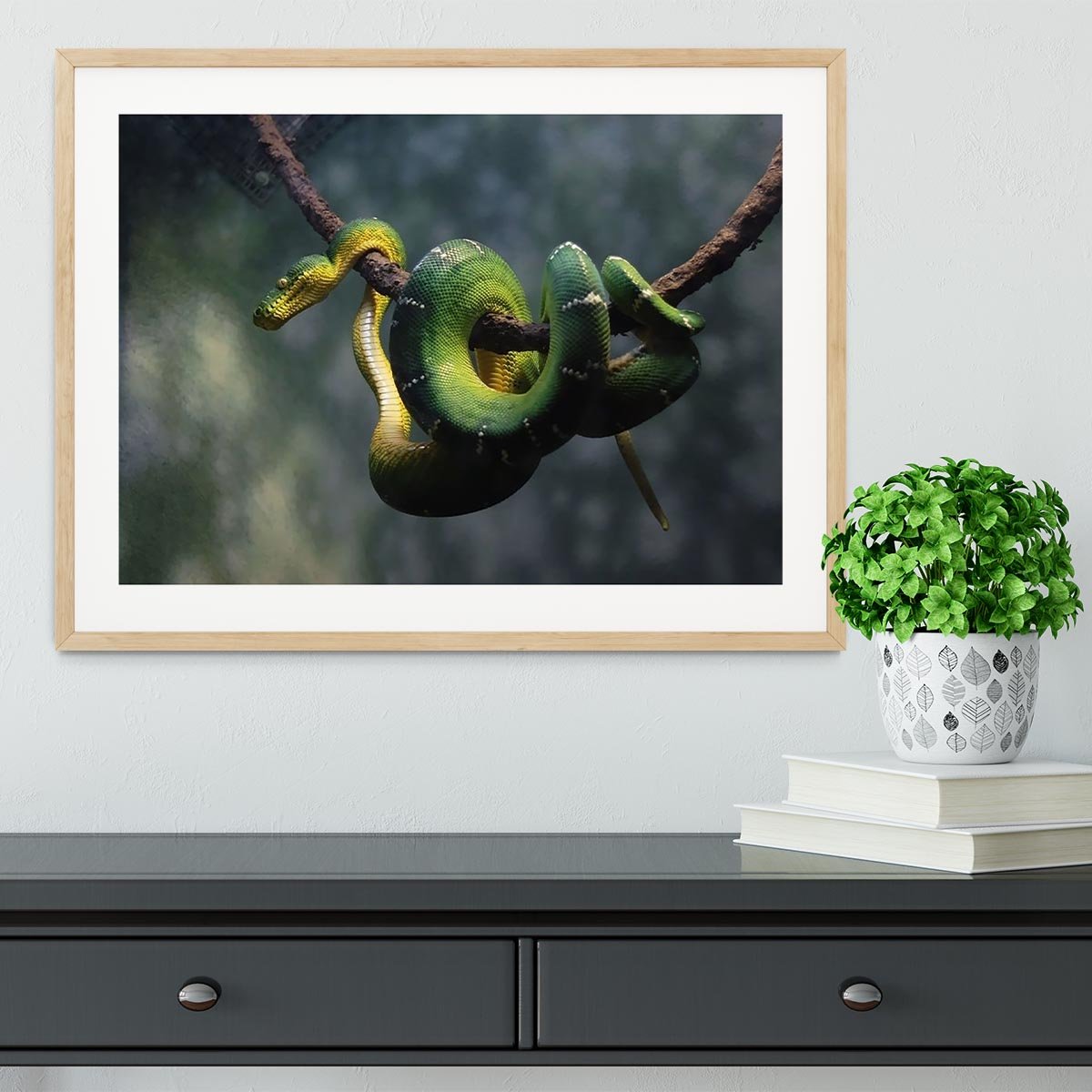 Green snake hangs on branch Framed Print - Canvas Art Rocks - 3
