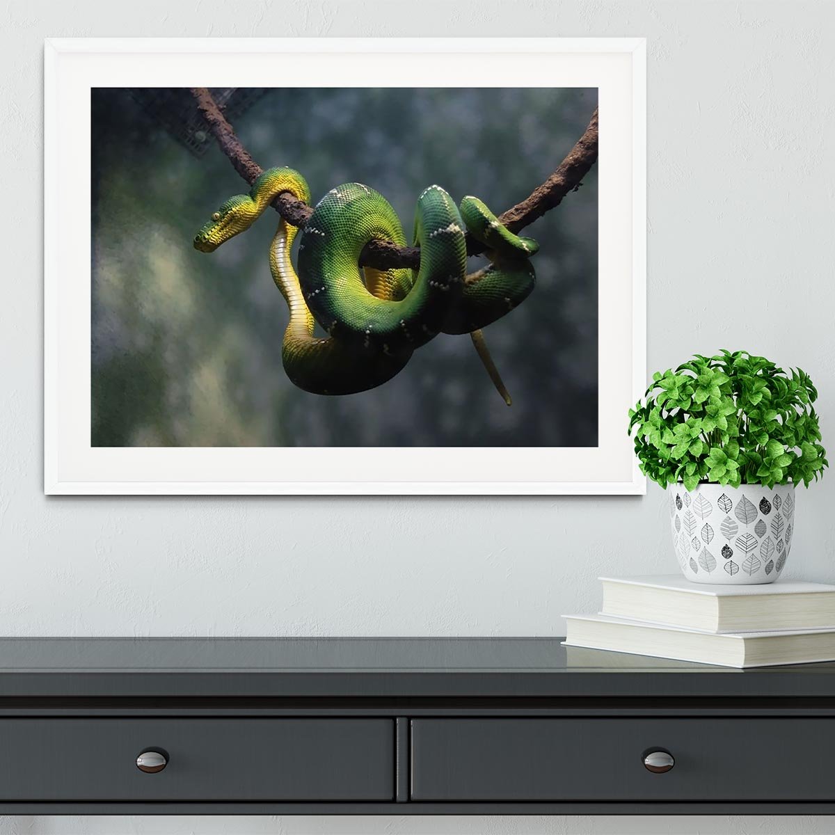 Green snake hangs on branch Framed Print - Canvas Art Rocks - 5