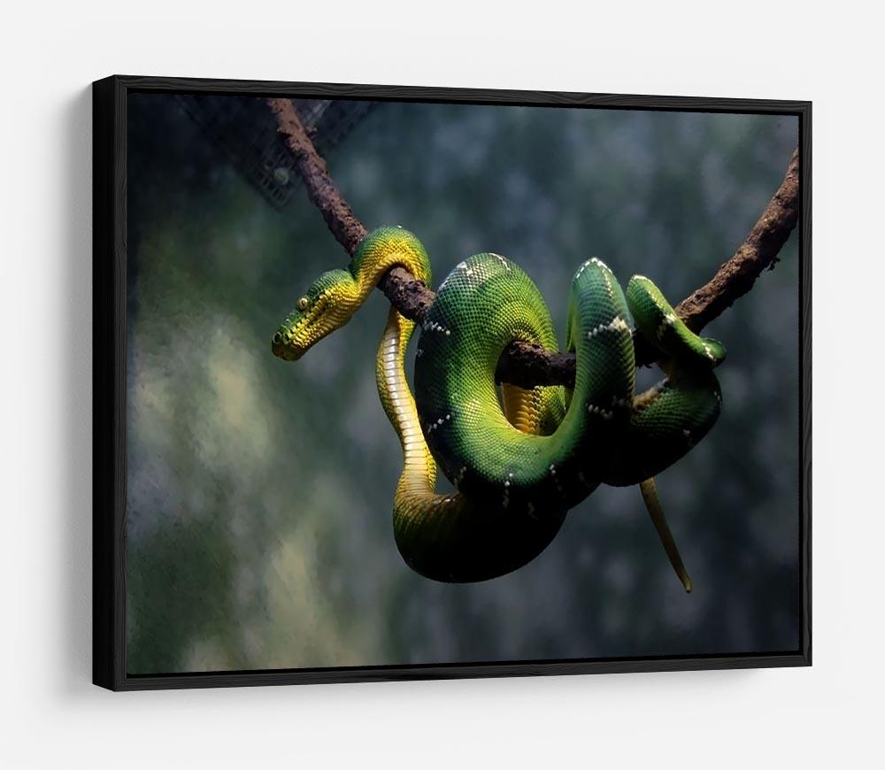 Green snake hangs on branch HD Metal Print - Canvas Art Rocks - 6
