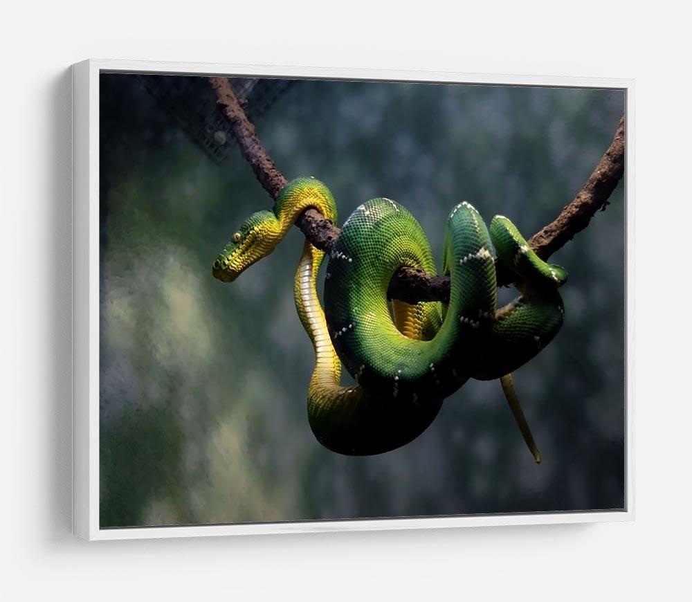 Green snake hangs on branch HD Metal Print - Canvas Art Rocks - 7