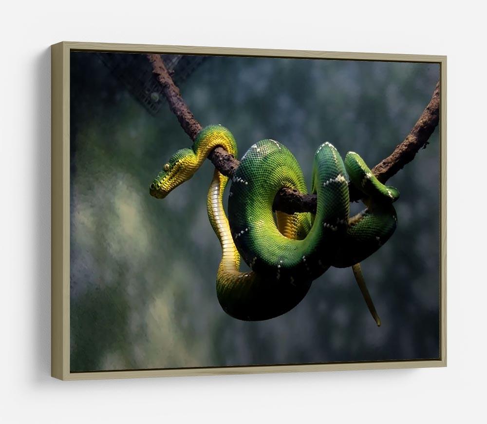 Green snake hangs on branch HD Metal Print - Canvas Art Rocks - 8