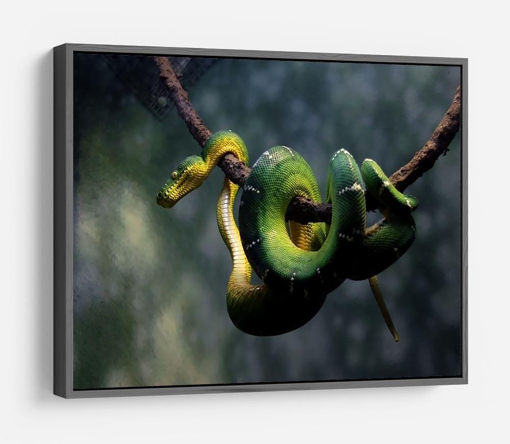 Green snake hangs on branch HD Metal Print - Canvas Art Rocks - 9