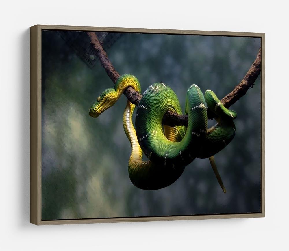 Green snake hangs on branch HD Metal Print - Canvas Art Rocks - 10