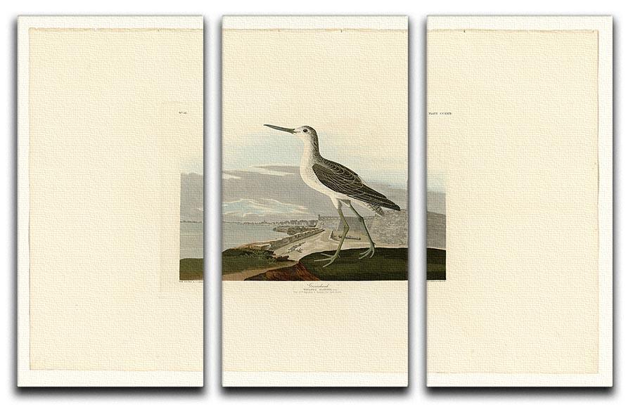 Greenshank by Audubon 3 Split Panel Canvas Print - Canvas Art Rocks - 1