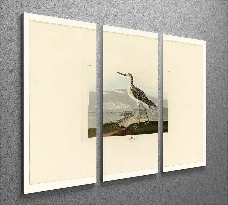 Greenshank by Audubon 3 Split Panel Canvas Print - Canvas Art Rocks - 2
