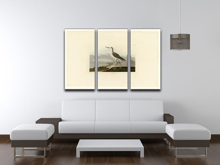 Greenshank by Audubon 3 Split Panel Canvas Print - Canvas Art Rocks - 3