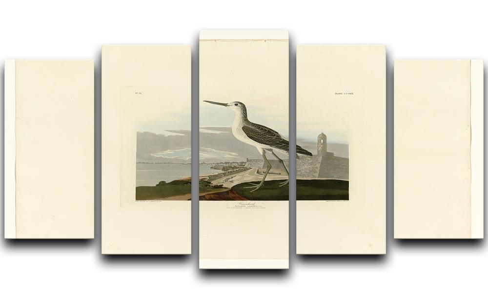 Greenshank by Audubon 5 Split Panel Canvas - Canvas Art Rocks - 1