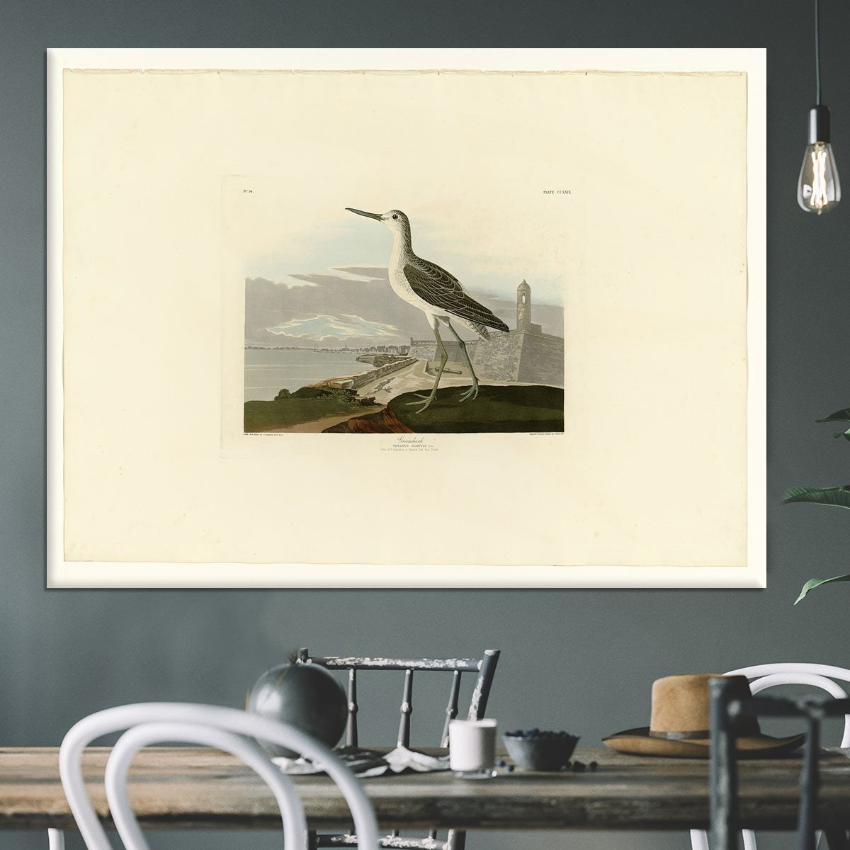 Greenshank by Audubon Canvas Print or Poster