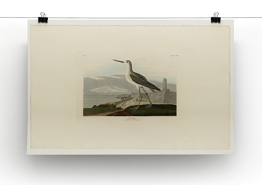 Greenshank by Audubon Canvas Print or Poster - Canvas Art Rocks - 2