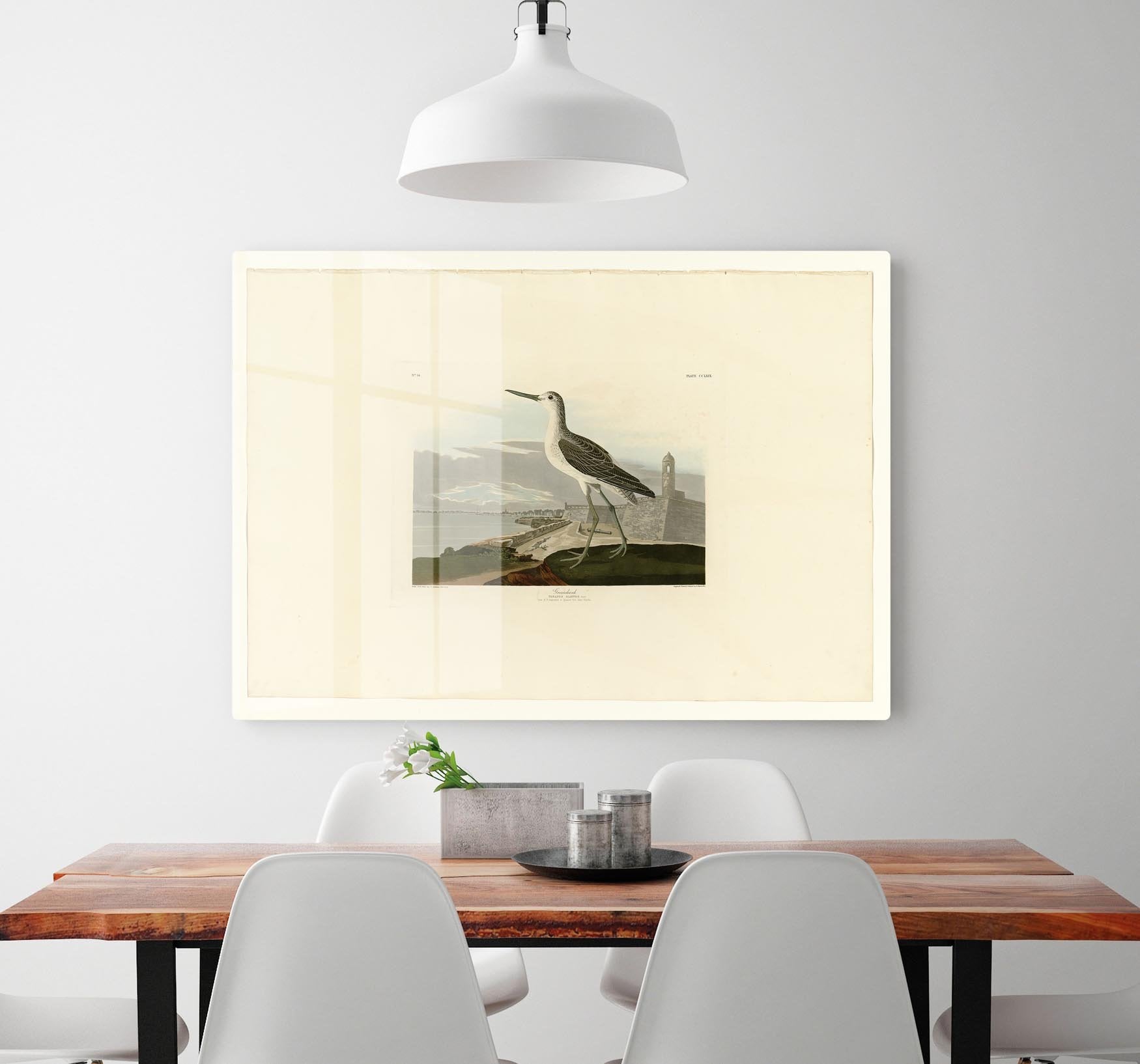 Greenshank by Audubon HD Metal Print - Canvas Art Rocks - 2