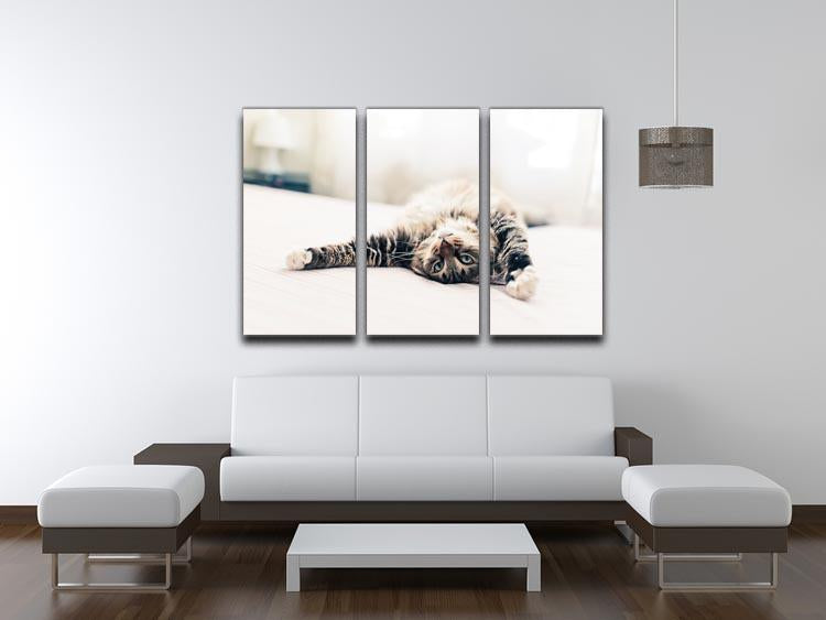 Grey cat lying on bed and stretching 3 Split Panel Canvas Print - Canvas Art Rocks - 3
