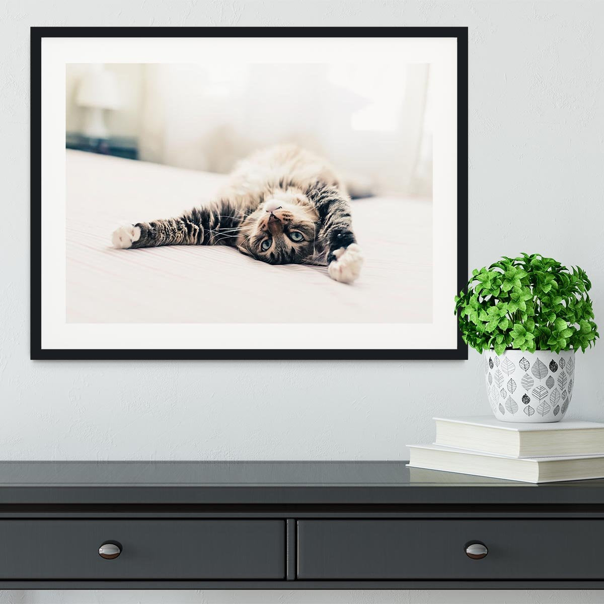 Grey cat lying on bed and stretching Framed Print - Canvas Art Rocks - 1